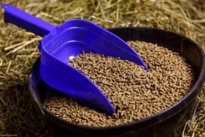 Feed Amino Acids Market