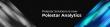 Polestar Analytics Announces Brand Name Consolidation to Better Reflect Data Analytics Leadership