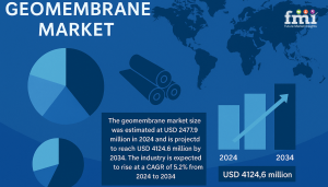 geomembrane market Share