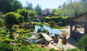 Zen gardens at Osmosis Day Spa Sanctuary