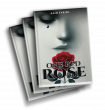'One Red Rose' by Zaid Faridi Unfolds a Stirring Tale of Love, Culture, and Silent Sacrifice