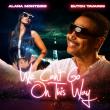 Alana Monteiro and Grammy Winner Butch Tavares Release Passionate New R&B Single 'We Can’t Go On This Way'