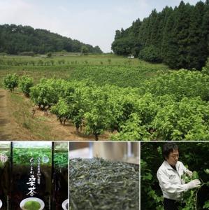 Pack of organic mulberry leaf tea included in Kusatsu Onsen Box, pesticide-free and additive-free.