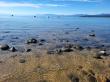 Updates to Short-Term Rental Ordinances in the Lake Tahoe Area
