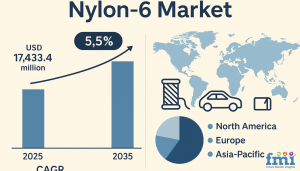Nylon-6 Market Size