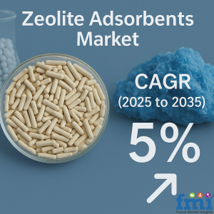 Zeolite Adsorbents Market