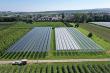 Agrivoltaics Market 2025 Is Booming Worldwide by 2032 | SunAgri, SunSeed APV Private Limited, JA Solar Holdings Co. Ltd