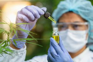 US Cannabis Testing Services Market Growth 2025