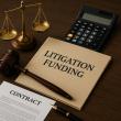 Avyana Litigation Funding erweitert Engagement in wirtschaftsrechtlichen Streitigkeiten