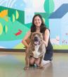 KC Pet Project Announces Kate Meghji as New Chief Executive Officer