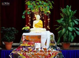 Tibetan Studies