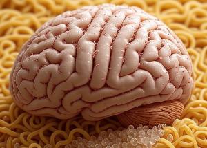 Brain on Instant Noodles