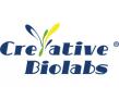 Creative Biolabs' Dual-Action Antibody Webinar Ignites Biotech Buzz