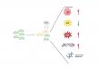 Heteroplasmic de novo MT-ND5 truncating mutations: Implications for mitochondrial function in oncogenesis