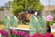 Performance Horse 'Bruce' Returns to the Show Arena Following VetStem Cell Therapy for Navicular Bursa Injury