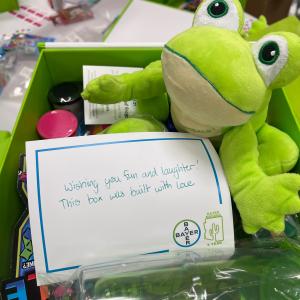 Donation box with stuffed frog for children