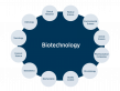 Biotechnology Market Set to Witness Significant Growth by 2025-2032 | Abbott Laboratories, Amgen Inc., GlaxoSmithKline