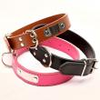 Global Dog Collars Market Poised for Strong Growth Driven by Pet Humanization and Smart Technology