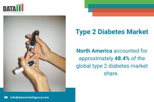 Type 2 Diabetes Market 2025-2033