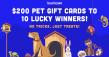 Terry Bryant Accident & Injury Law Launches “Summer of Pets” $2,000 Giveaway