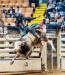 BLACK COWBOY EXCELLENCE CELEBRATED IN FORT WORTH AS BILL PICKETT INVITATIONAL RODEO CROWNS NEW CHAMPIONS