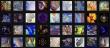 Playform AI Launches Freeform Diffusion: A Breakthrough in Prompt-Free Image Generation for Professional Creators