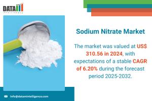 Sodium Nitrate Market 2025-2032