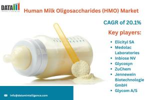 Human Milk Oligosaccharides (HMO) Market