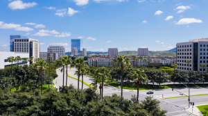City of Irvine on a sunny, blue sky day, with a few of office building and palm trees.