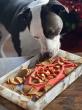 New Fish Chips Join Farm and Fowl on the Farm to Pet Treat Menu