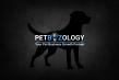 PETBIZOLOGY LAUNCHES SPECIALIZED GROWTH SERVICES FOR PET BUSINESSES