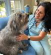 Cary Veterinarian Honors Military Families with Free In-Home Veterinary Checkups