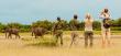 UK Safari Tourism Market to Reach USD 4.1 Billion by 2035, Driven by Luxury Travel and Sustainable Tourism Trends