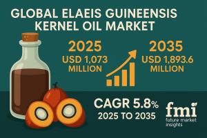 Elaeis Guineensis Kernel Oil Market