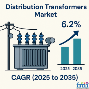 Distribution Transformers Market