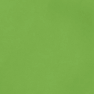 A smooth, 12x12 inch green cardstock sheet from American Crafts, perfect for crafts and projects.