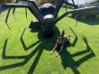 Preventive Pest Control’s K9 Teams Lead the Charge in Bed Bug Detection Across Las Vegas