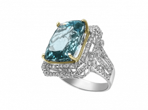 Blue Paraiba
