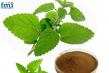 Lemon Balm Extract Market to Surpass USD 3 Billion by 2035, Driven by Rising Demand for Natural Wellness Products | FMI