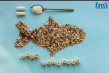 Global Fish Collagen Market to Reach USD 2.89 Billion by 2035 with Robust Growth Driven by Rising Health Awareness