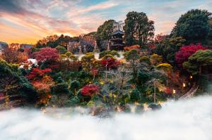 The Tokyo Sea of Clouds at Hotel Chinzanso Tokyo