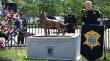 Richland County Sheriff’s Department, other S.C. agencies, honored for K-9 sacrifices