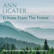 Ann Licater New Age Recording Artist and World Flutist Releases New Album 'Echoes from the Forest'