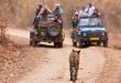 India Safari Tourism Market to Grow Strongly by 2035, Driven by Eco-Tourism Trends and Rising Wildlife Travel Demand