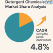 Detergent Chemicals Market Share Analysis: Key Trends and Growth Drivers Through 2035