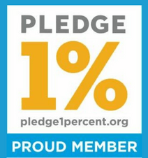 Salesforce NonProfit 1