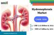 Hydronephrosis Market to Reach $6.9B by 2031, Driven by AI & Minimally Invasive Tech | DataM Intelligence