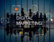 Rankviz Launches Digital PR Service for Media Outreach and Reputation Management