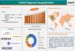 Diagnostic Imaging Market Size 2025 To 2033 | Trends, CAGR 4.9%, Forecast to $46.25B By 2033
