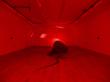 Anastasia Komar Unveils Multisensory Installation 'LUCA' to Explore Humanity’s Primordial Origins
